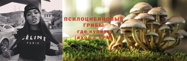 гашик Вязьма