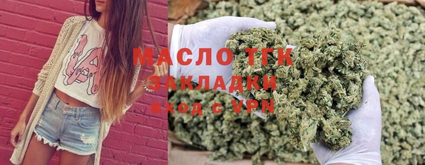 гашик Вязьма