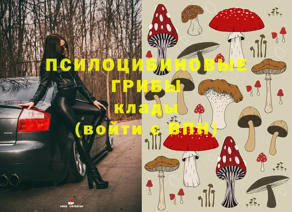 тгк Волоколамск