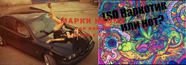 ешки Вяземский