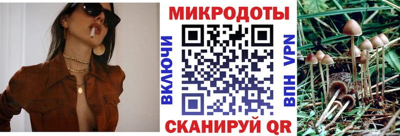 Галлюциногенные грибы MAGIC MUSHROOMS где продают наркотики Зарайск